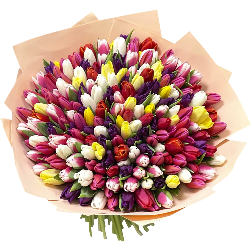Букет из 201 тюльпана микс